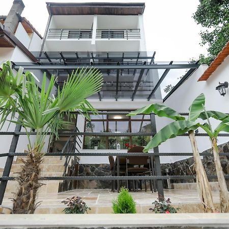 Casa Marica Hotel Baile Herculane Luaran gambar